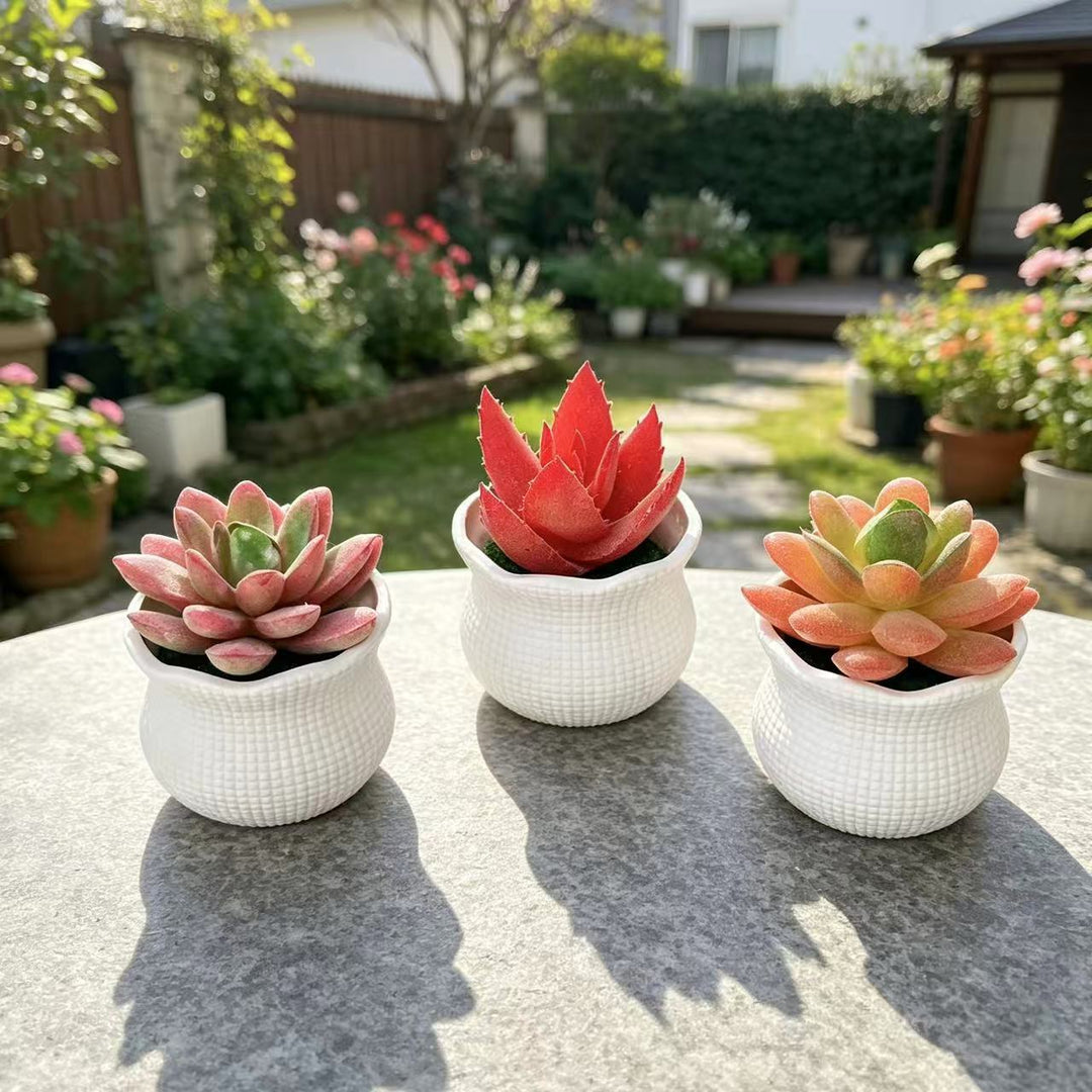 Decoratieve Nep Cactus Arrangement