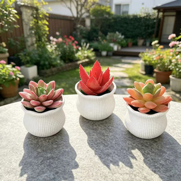 Decoratieve Nep Cactus Arrangement