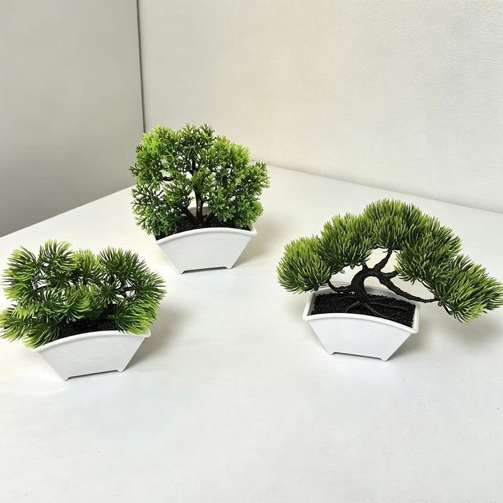 Decoratieve Bonsai Boom 1790480631 voor Thuisdecoratie
