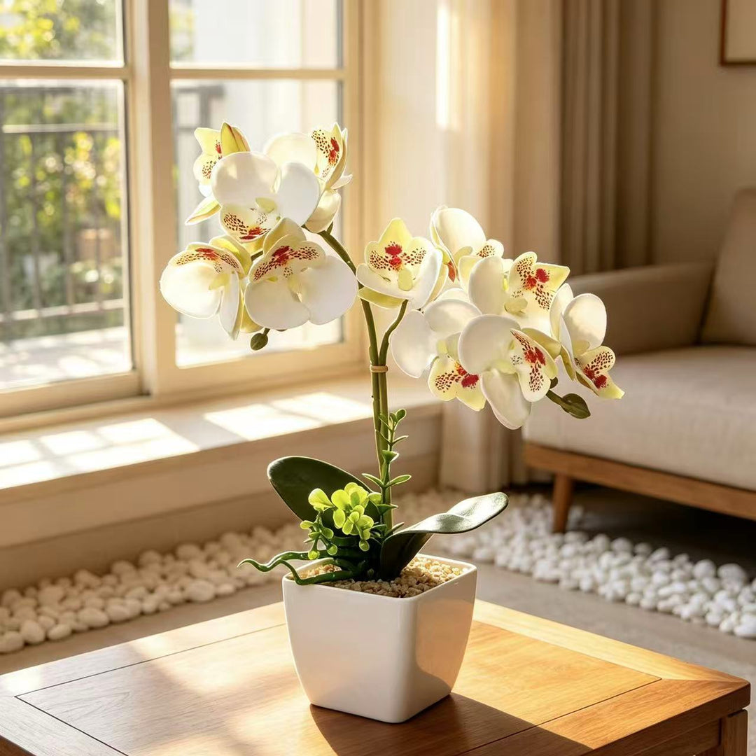 Kunstmatige Orchidee Arrangement voor Thuisdecoratie Display