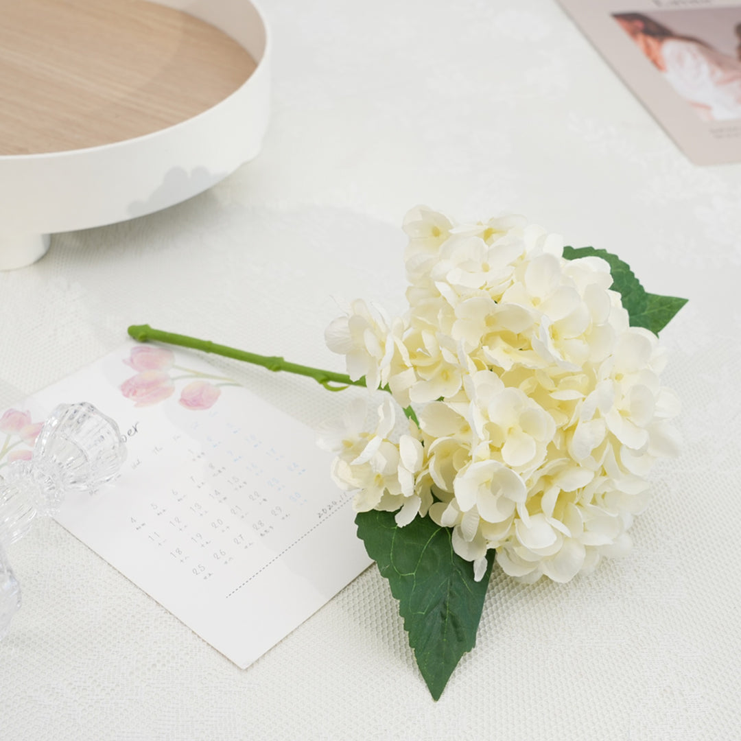 Charmante Hortensia Bloem Steel