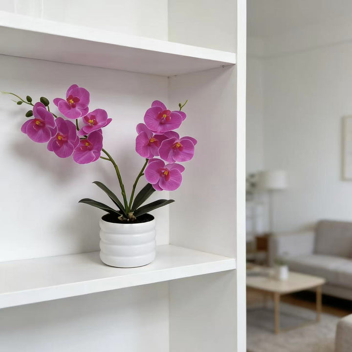 Levensechte Orchidee Decor