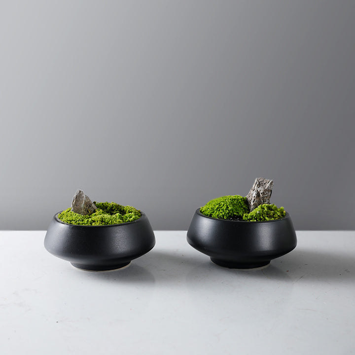 Decoratieve Mos Kom met Pedestal Basis