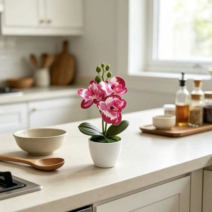 Levensechte Orchidee Bloemarrangement