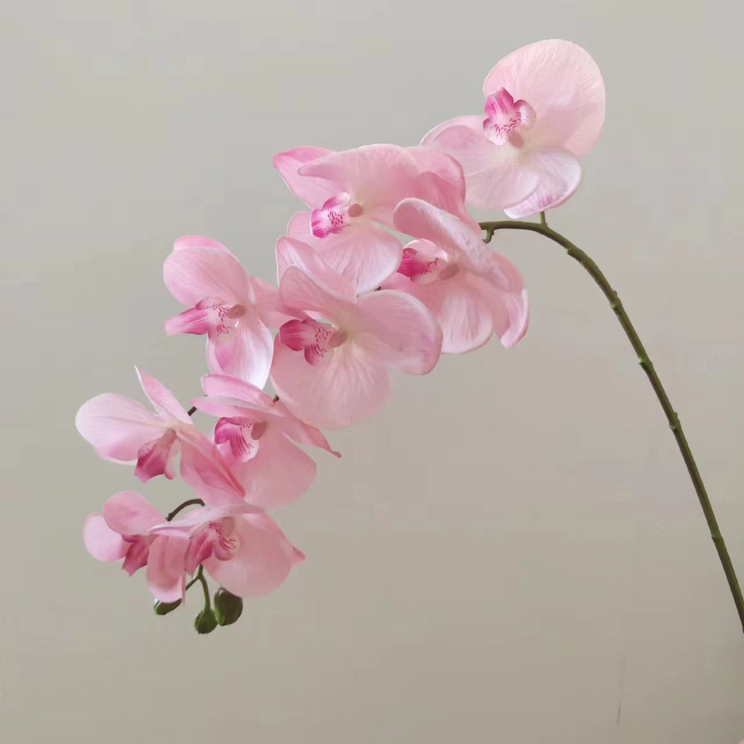 Realistische Orchidee Bloemarrangement