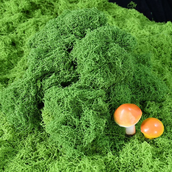 Decoratieve Groene Mos Arrangement