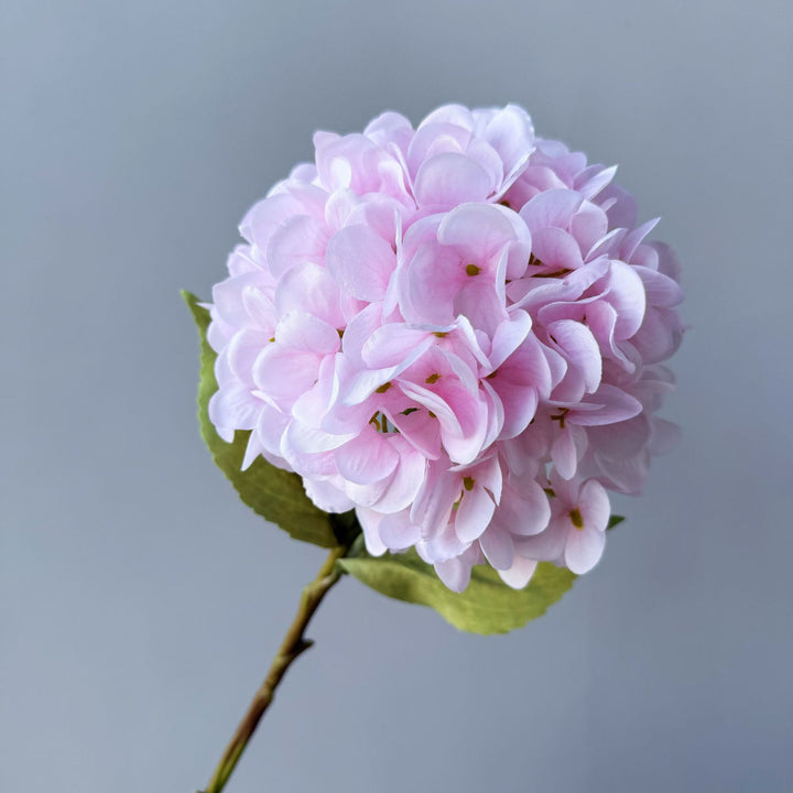 Bloemdecoratief