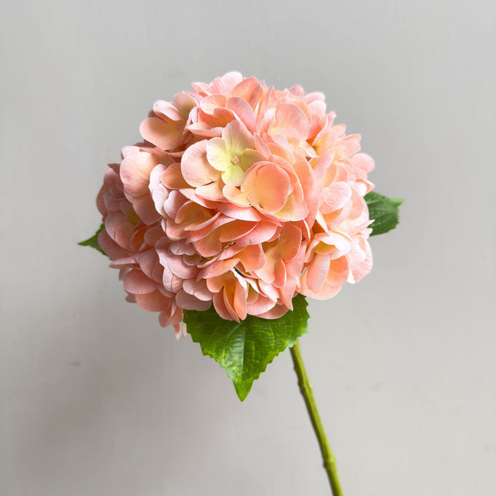 Levensechte Hortensia Steel