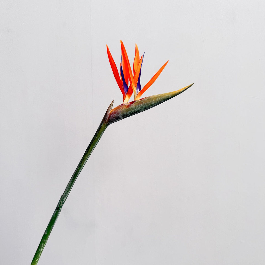 Decoratieve Bloemendisplay