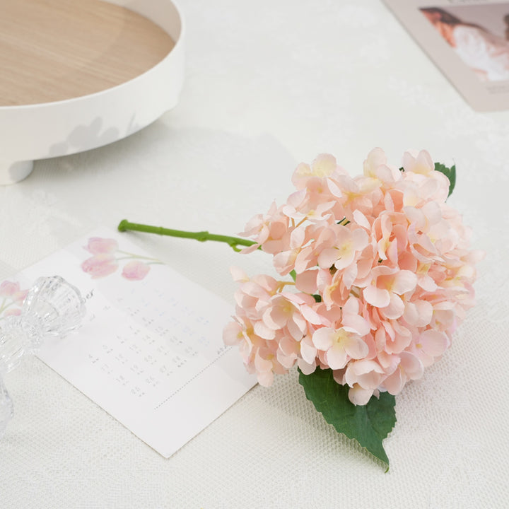 Charmante Hortensia Bloem Steel