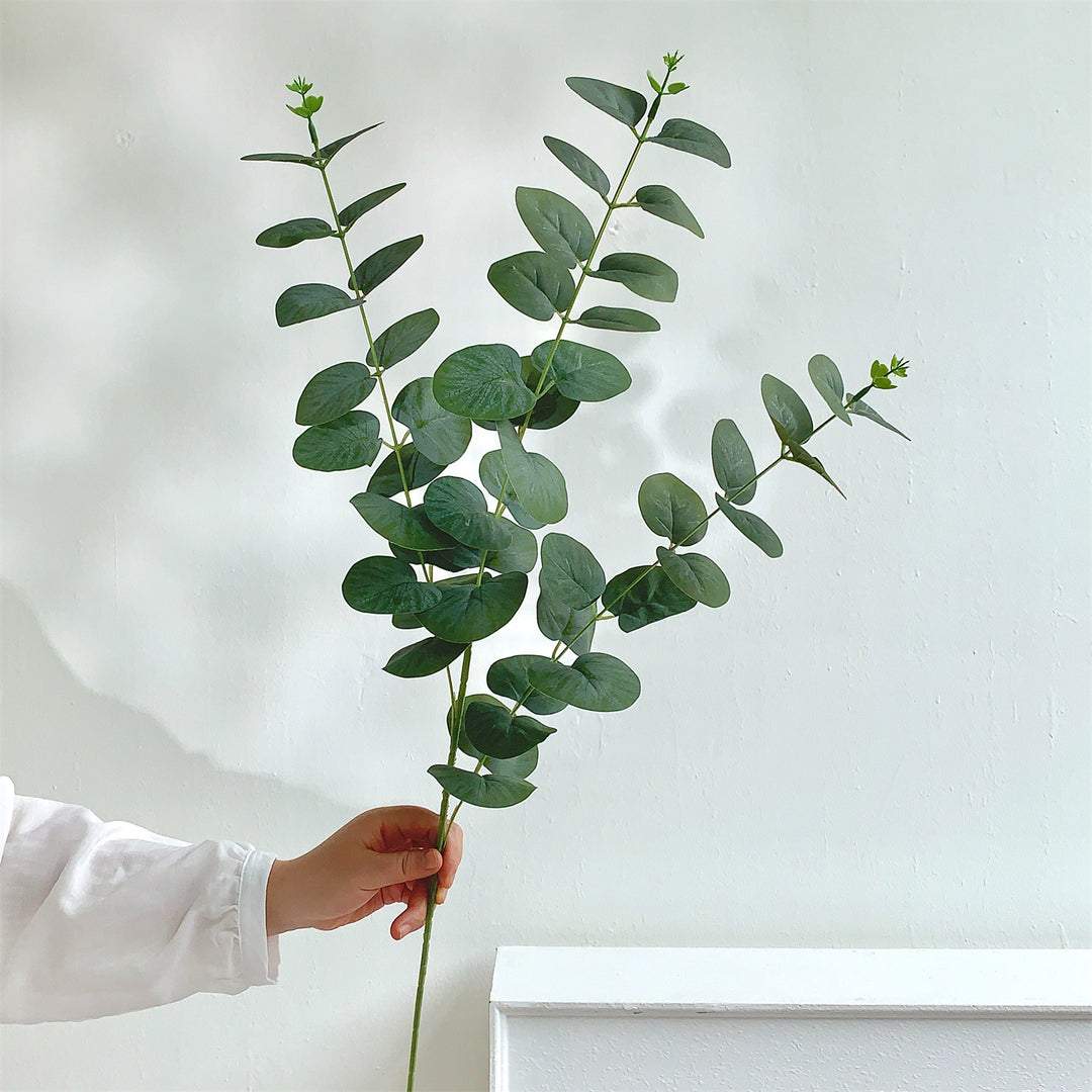 Decoratieve Eucalyptus Steel