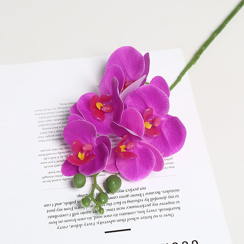 Realistische Orchidee Bloem Stem