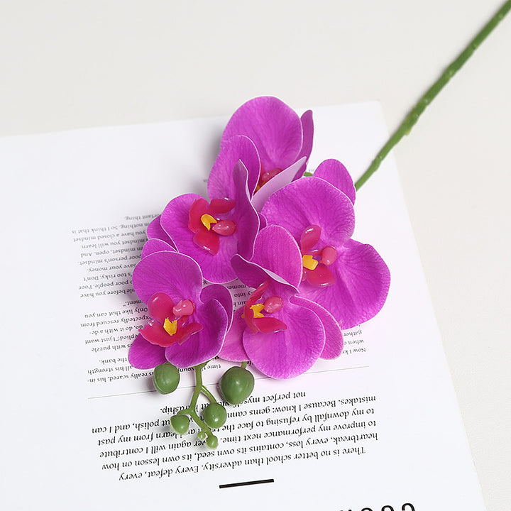 Realistische Orchidee Bloem Stem