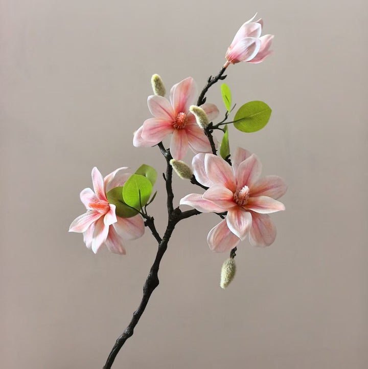 Elegante Magnolia Steel