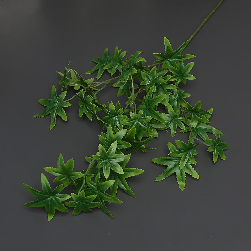 Decoratieve Groene Klimplant voor Binnenhuisdecoratie