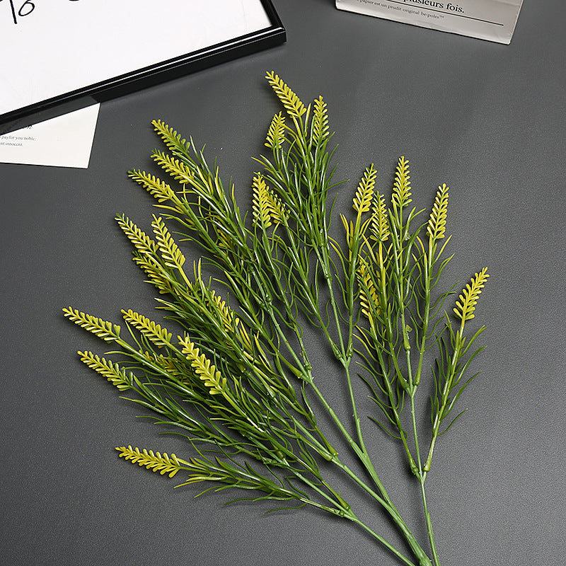 Lavender Bloem Stengel