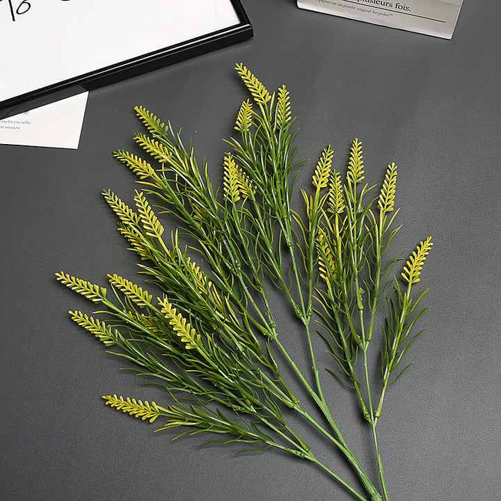Lavender Bloem Stengel