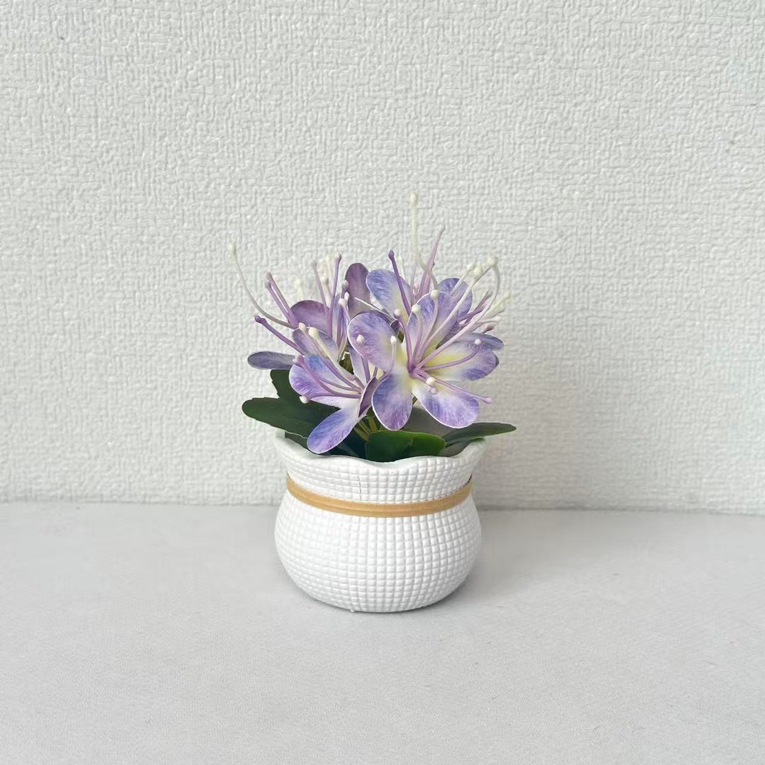Decoratieve Bloemdisplay voor Woondecoratie Display