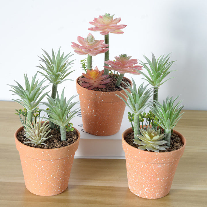 Kunstmatige Succulente Plantenarrangement
