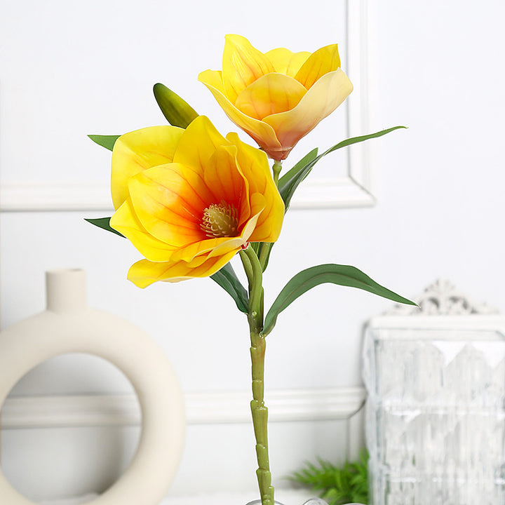 Elegant Magnolia Bloemarrangement voor Huisdecoratie
