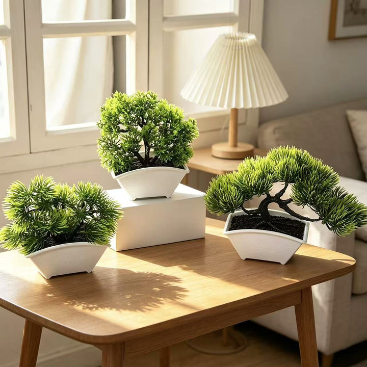 Decoratieve Bonsai Boom 1790480631 voor Thuisdecoratie