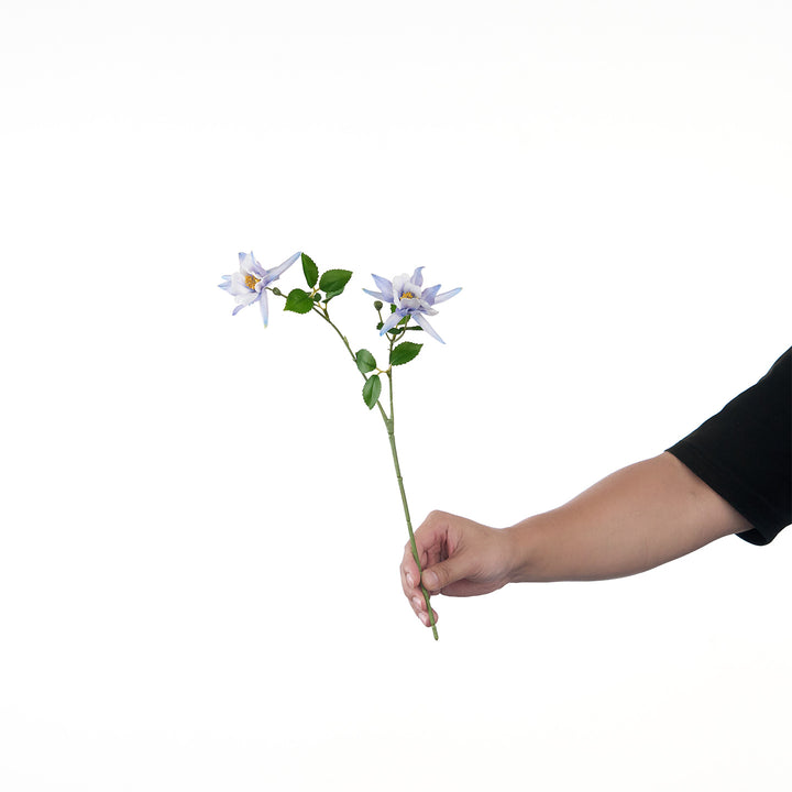 Levendige Multi-Bloom Bloemstengel
