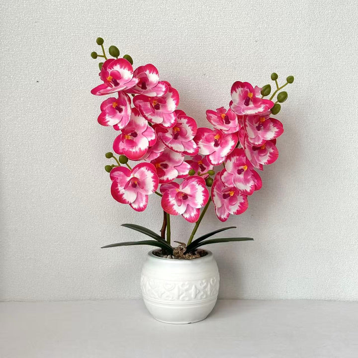 Decoratieve Orchid voor Tafelblad Huisdecoratie