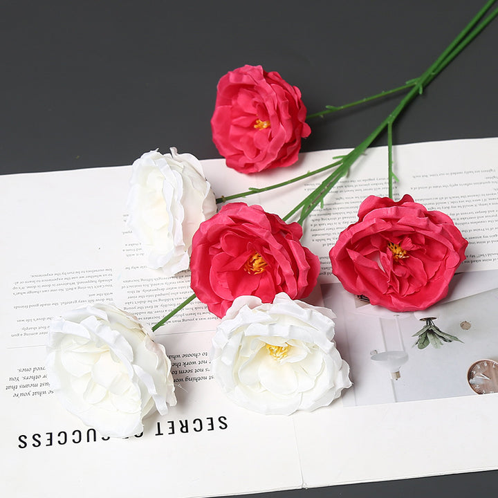 Elegante Zijde Bloemstengel voor Thuisdecoratie Display