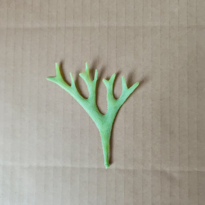 Decoratieve Botanische Bladsteel