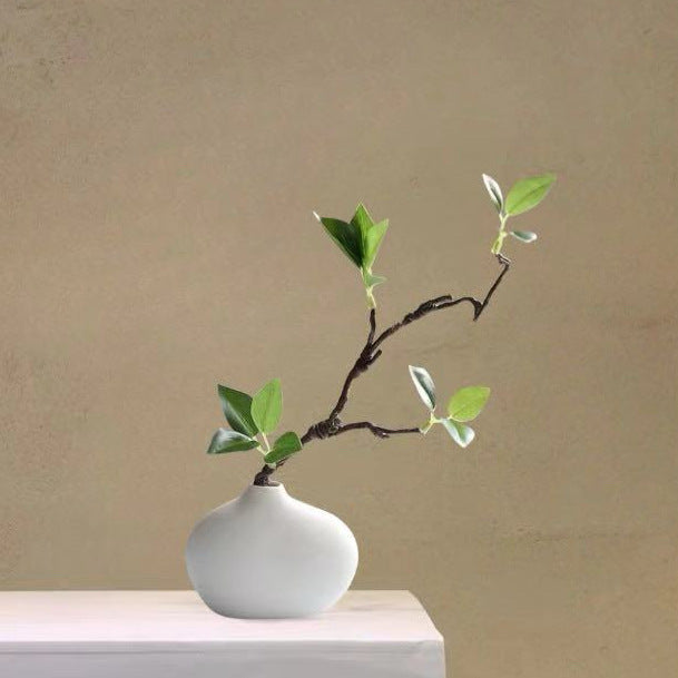 Minimalistische Decoratieve Plantenarrangement