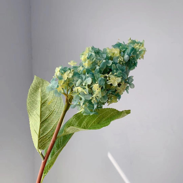 Realistische Hortensia Steel