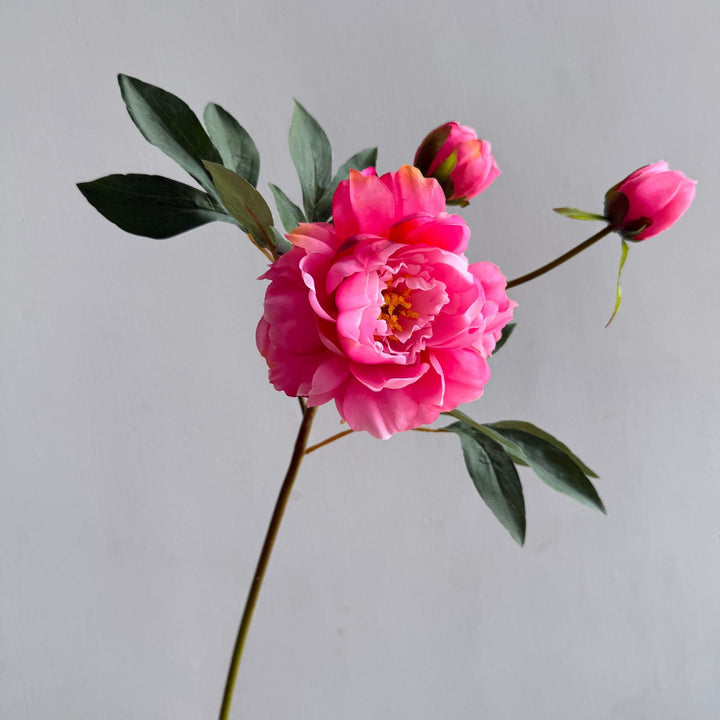 Decoratieve Bloemstukken