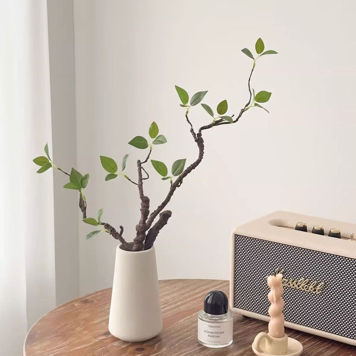 Artistieke Decoratieve Takkenarrangement