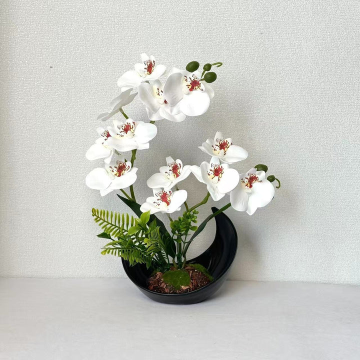 Levensechte Orchidee Bloemdisplay