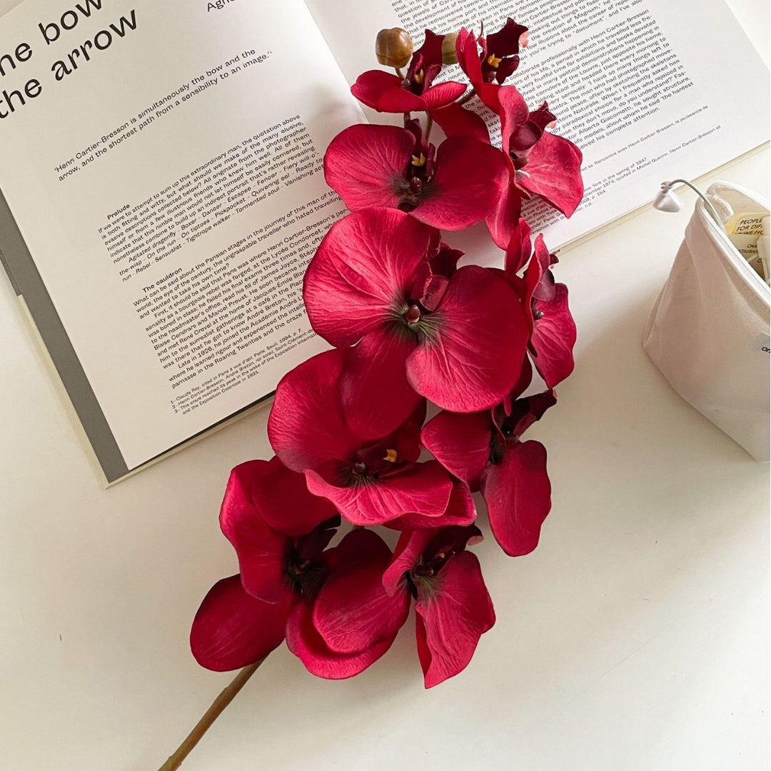 Elegante Kunstmatige Orchidee Arrangement