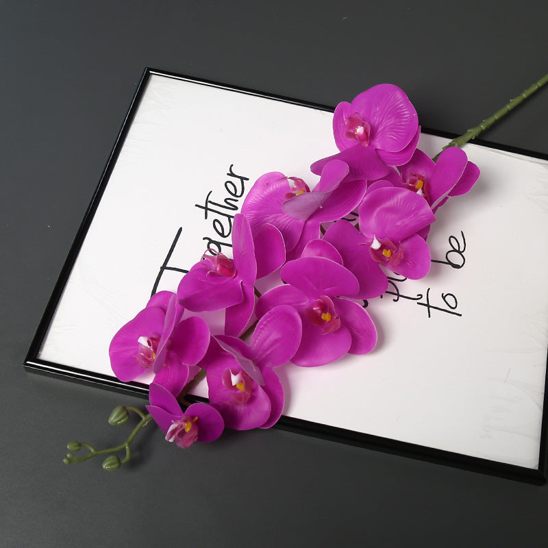 Nepatuur Orchidee Bloemsteel voor Woondecoratie Display