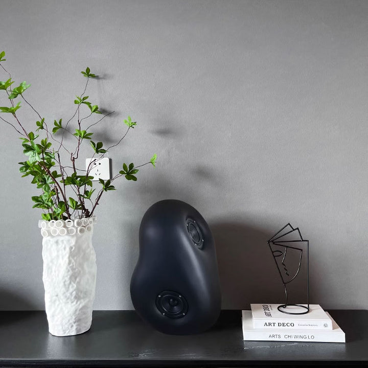 Creatieve Draadloze Luidspreker