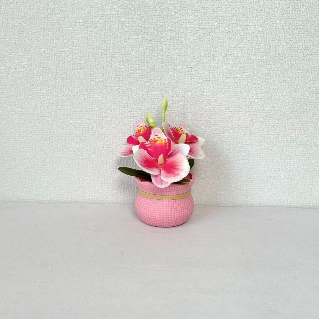 Decoratieve Potted Orchidee Arrangement voor Huishouddecoratie