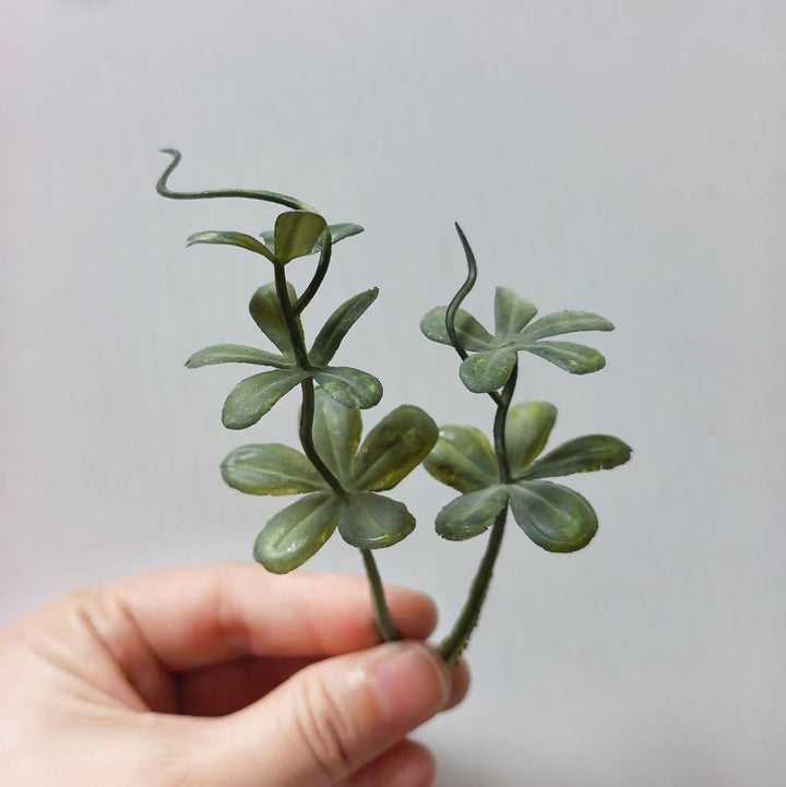 Decoratieve Succulent Arrangement
