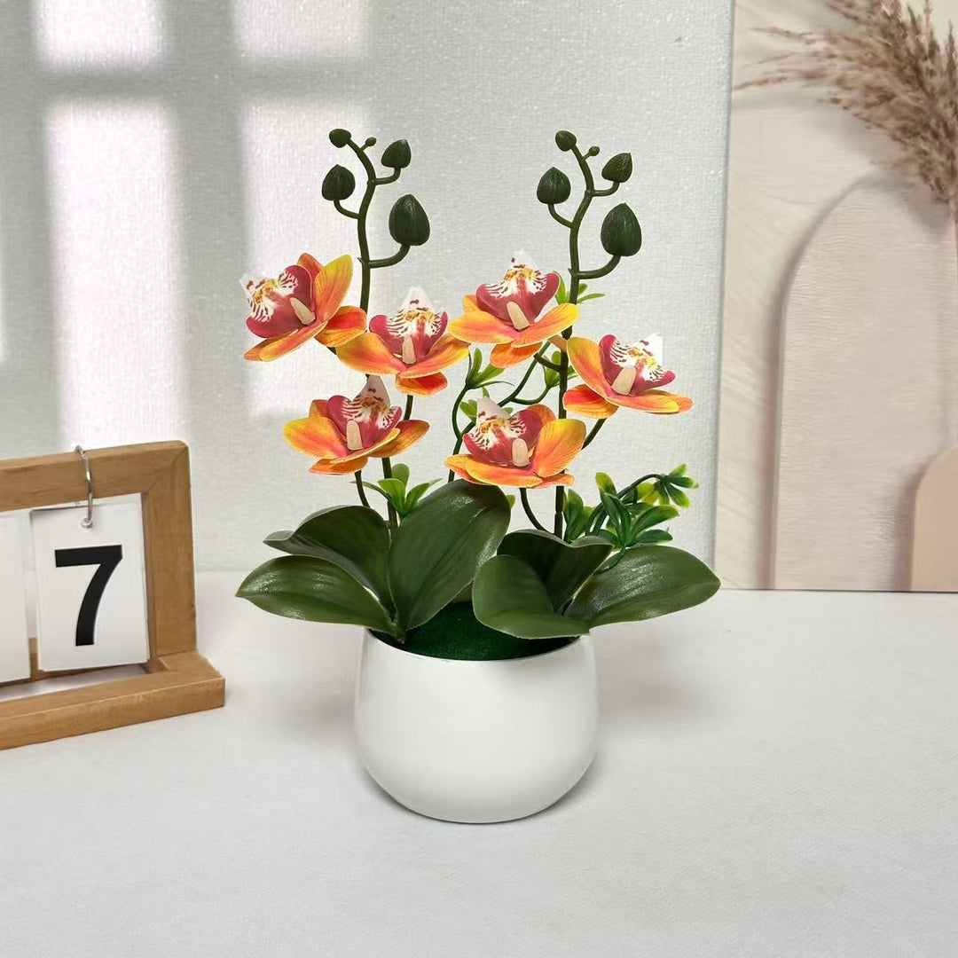 Orchidee Bloemstuk