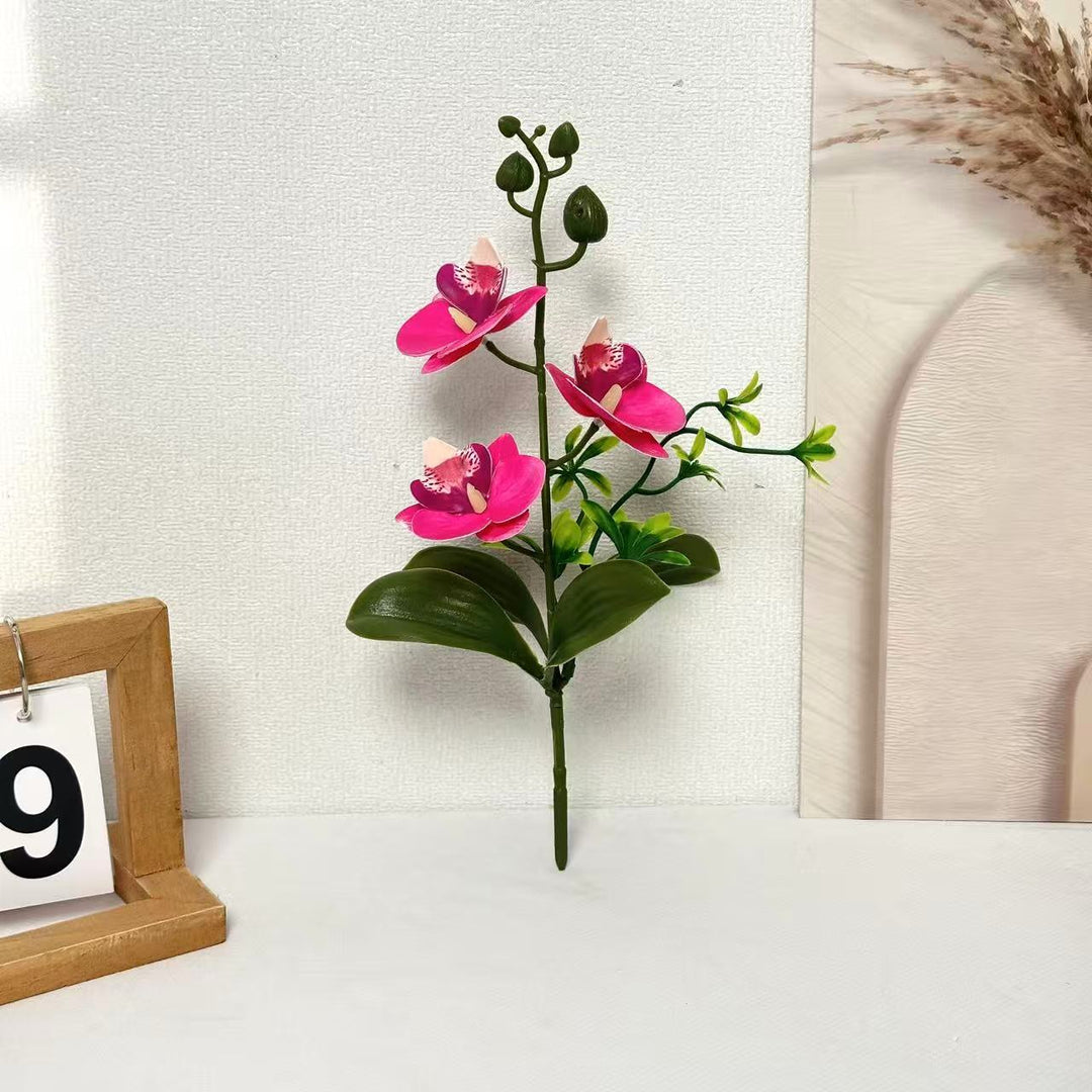 Elegante Orchideeën Bloemstuk