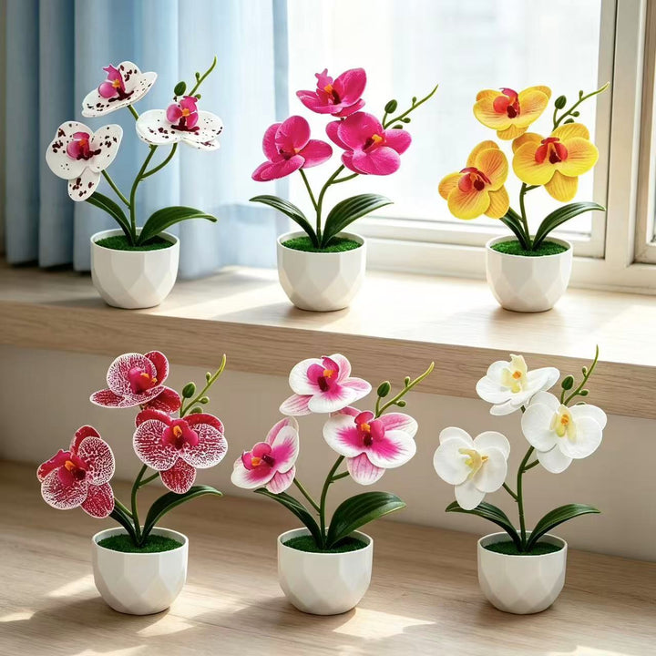Kunstmatige Orchidee Arrangement voor Binnen Decoratieve Thuis Weergave