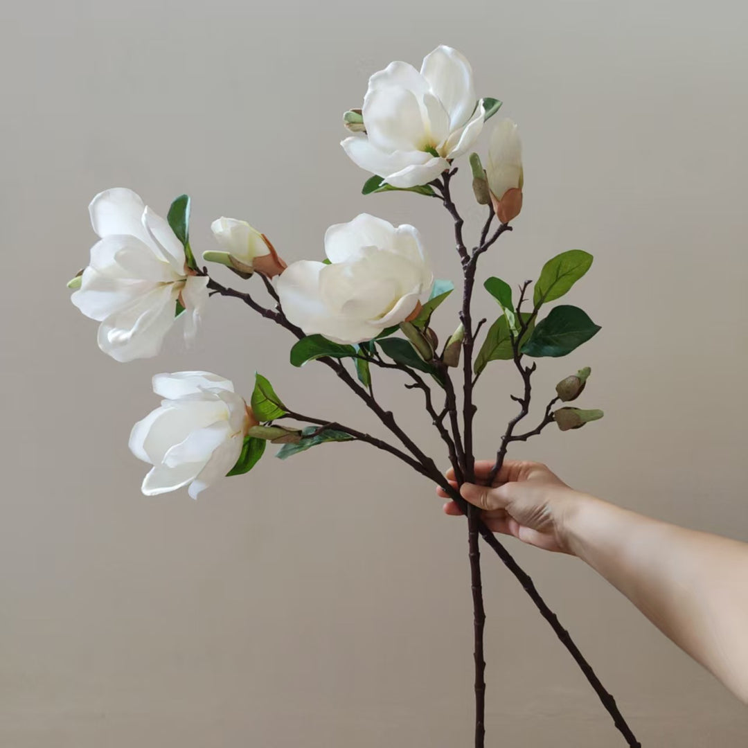Realistische Magnolia Bloesem Steel