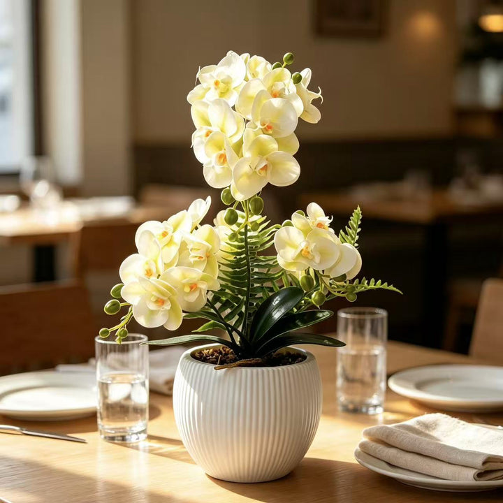 Decoratieve Orchidee Plant voor Decoratieve Huis Decoratie