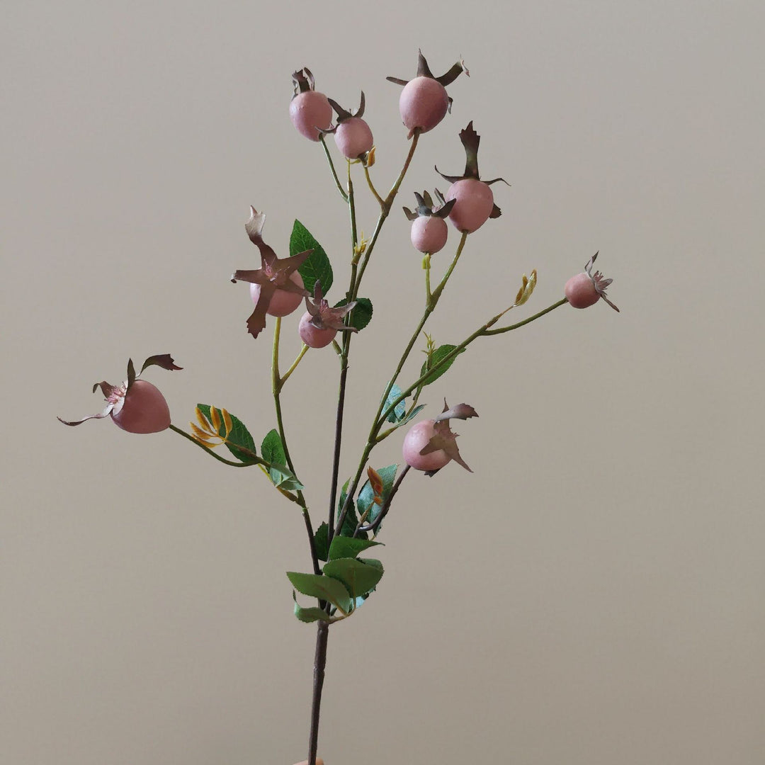 Decoratieve Natuurlijke Gedroogde Bloemenstelen