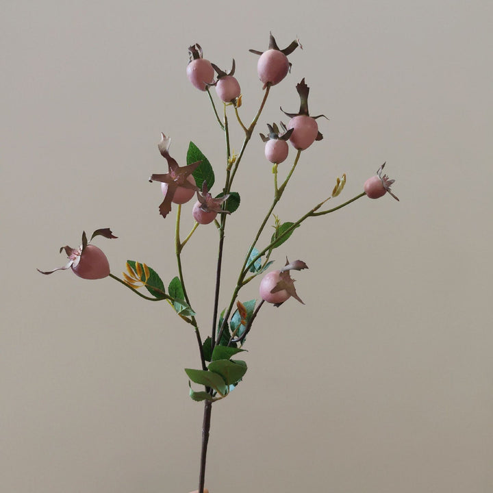 Decoratieve Natuurlijke Gedroogde Bloemenstelen