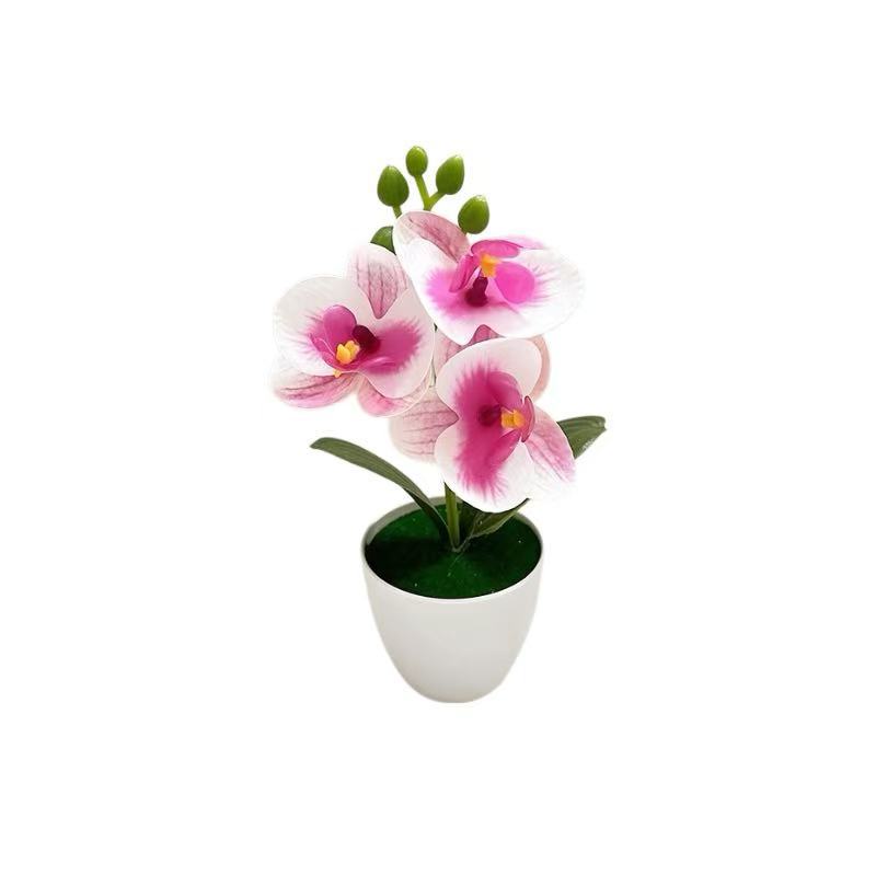 Levensechte Orchidee Bloemarrangement
