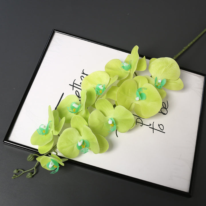 Nepatuur Orchidee Bloemsteel voor Woondecoratie Display