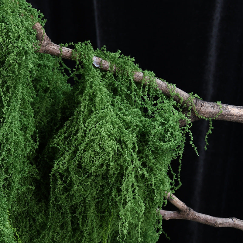 Decoratieve Groene Mos Arrangement