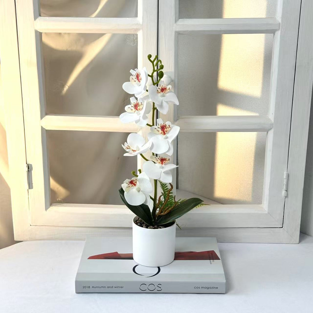 Kunstmatige Orchidee Centerpiece voor Woondecoratie en Tafelaanbieding